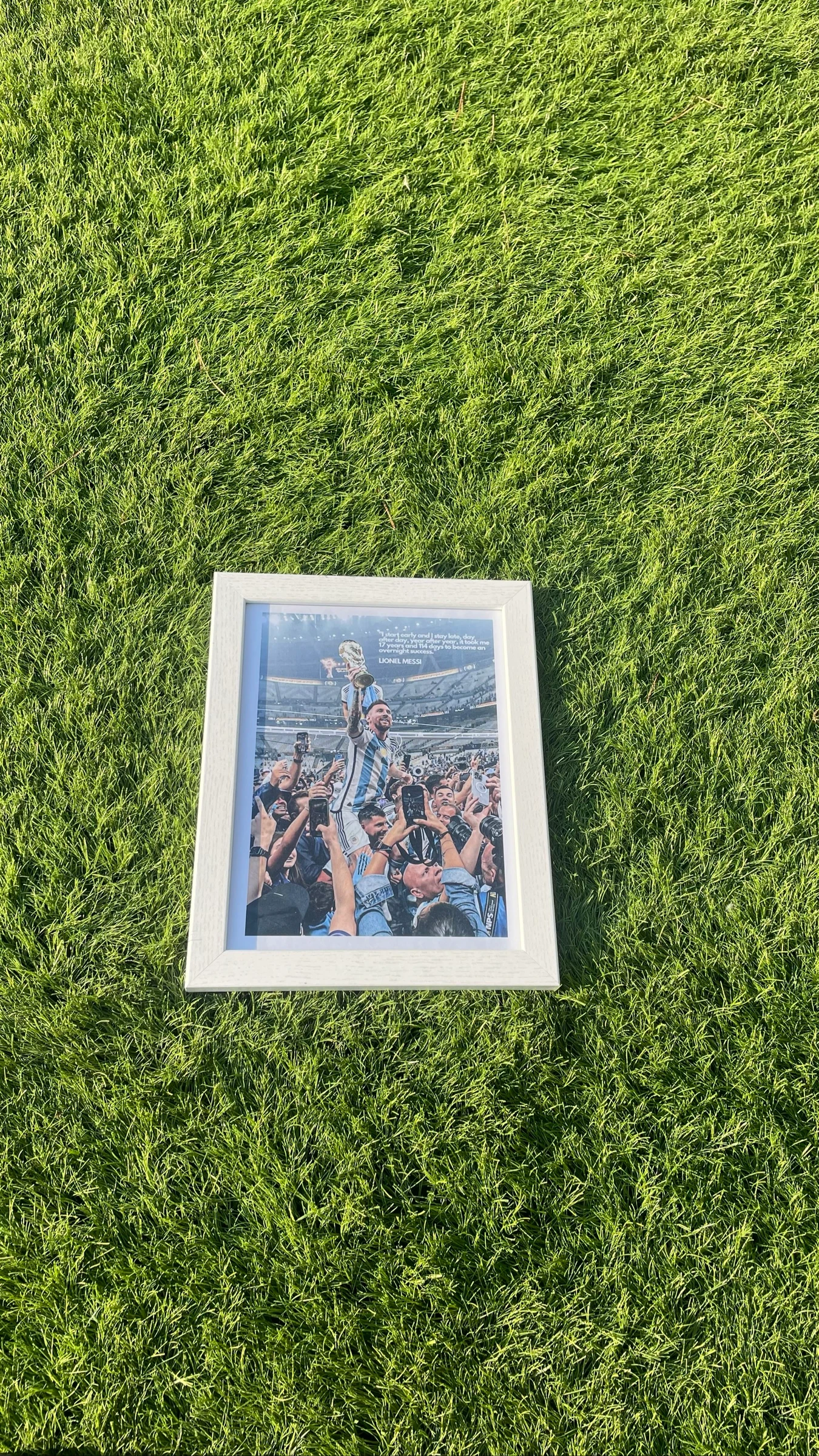 Cuadro Lionel Messi Campeón del Mundo.